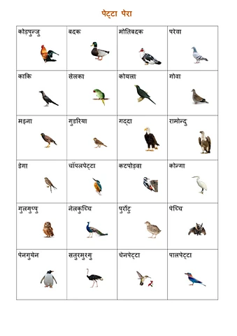पक्षि.pdf