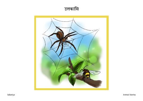 उलकासि.pdf